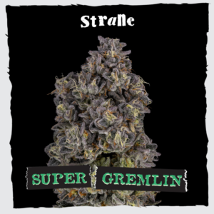 Super Gremlin Premium