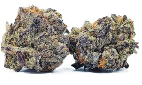 Purple Punch Premium