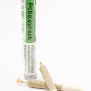 Pebblewreck Pre-Roll