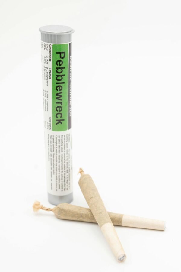 Pebblewreck Pre-Roll