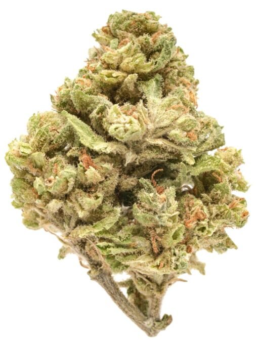 Acapulco Gold Premium