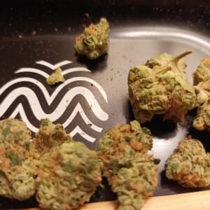 Rainbow Guava #5 Pre-Roll – Tropical Hybrid Joint