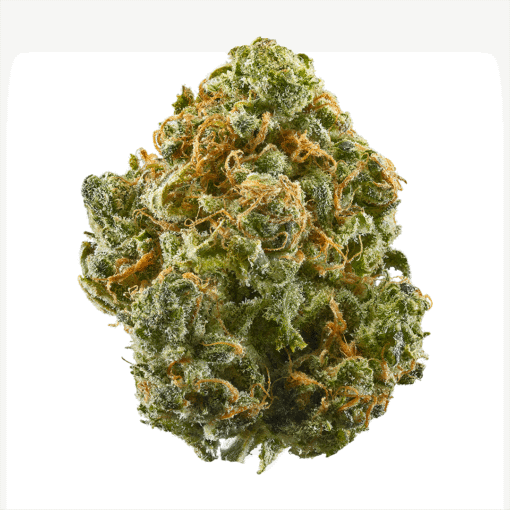 Sour Gorilla Machine Trimmed Hybrid Flower – Bulk Wholesale