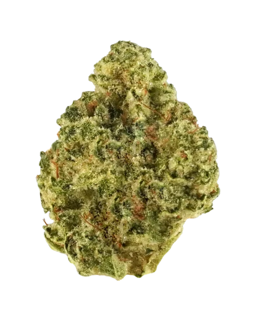 Sunshine #4 Premium Flower – Balanced Hybrid Cannabis