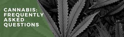 Cannabis FAQ 2025 | Marijuana, Visits & Services Explained