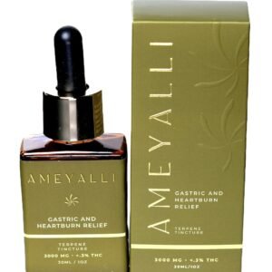 Ameyalli Gastric and Heartburn Relief 3000mg Tincture – CBD Digestive Support