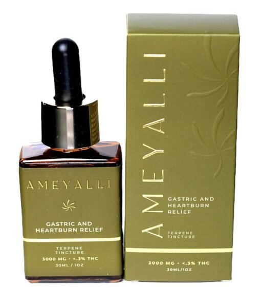 Ameyalli Gastric and Heartburn Relief 3000mg Tincture – CBD Digestive Support