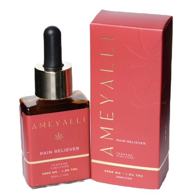 Ameyalli Pain Reliever 3000mg Tincture – High-Potency CBD Relief