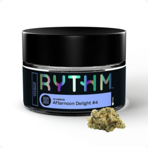 Afternoon Delight #4 Cannabis Flower | Funky Hybrid with Tropical Terps