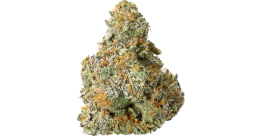 Biscotti x Gelato 41 | House of Piff x Brooklyn Cannabis Club Hybrid