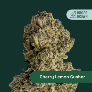 Botanist Cherry Lemon Gusher Whole Flower | 3.5g Balanced Hybrid