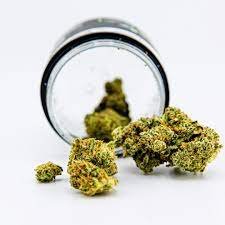 DANK Cinderella Jack 3.5g Flower – Potent Hybrid Strain