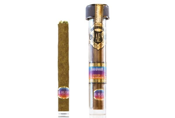 Find. Fruit Fusion Strawberry Motorbreath – 2 × 1.25 g Distillate-Infused Pre-Rolls