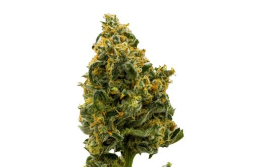 Find. Novarine Whole Flower 28g – Balanced Earthy Hybrid