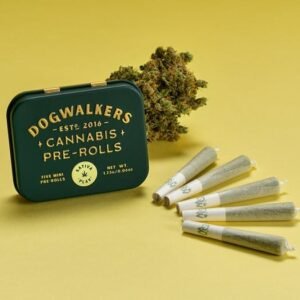GTI Night Owl Haze Dogwalkers Pre‑Roll – 0.75 g Sativa (0801)