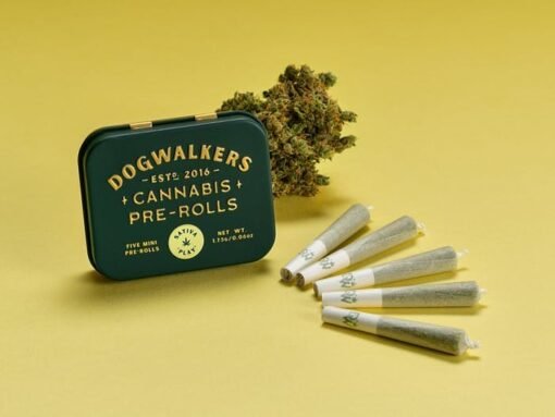 GTI Night Owl Haze Dogwalkers Pre‑Roll – 0.75 g Sativa (0801)