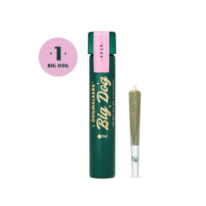 Enjoy Dogwalkers’ OMG pre-roll: 0.75 g of GMO Cookies × Kush Mints flower with sweet, minty flavor and relaxing hybrid effects. Premium, pre-rolled, and socially responsible.
