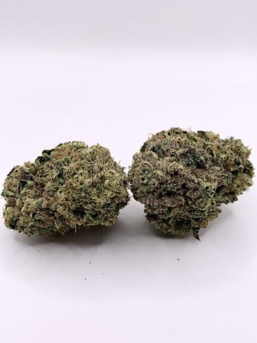 Gasland Ounce – Neighborhood Gardens Flower