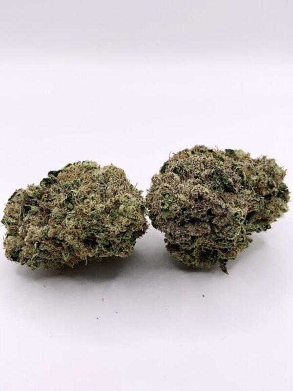 Gasland Ounce – Neighborhood Gardens Flower