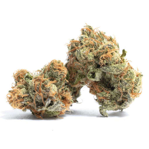 Gelato #41 | Premium Indica Hybrid Cannabis Flower