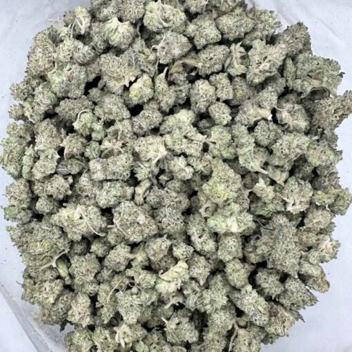 Gelato #41 Ounce | Premium Hybrid Flower
