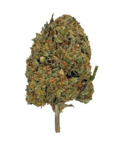 Get the best of Hybrid in a delicious