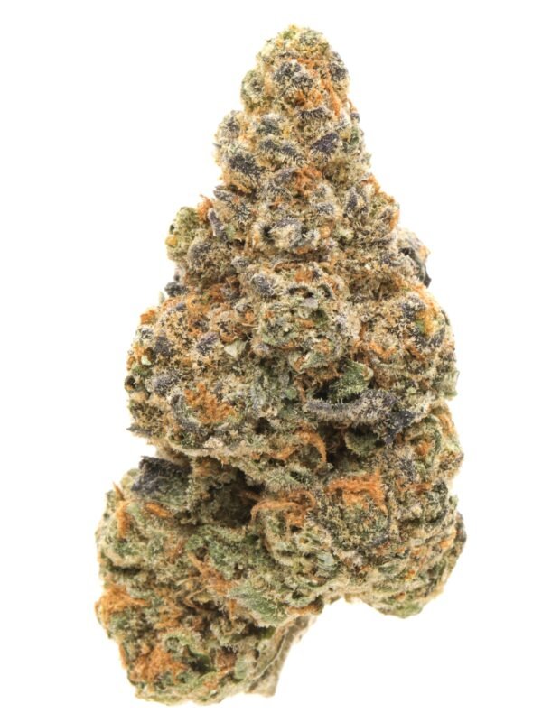 Girl Scout Cookies Strain – Legendary Hybrid