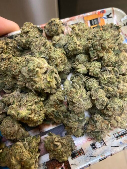 Good Green Frozen Margarita Mixed Buds – Hybrid Cannabis