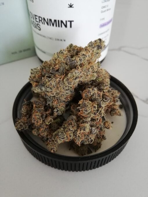 Governmint Oasis | Premium Hybrid Cannabis Flower
