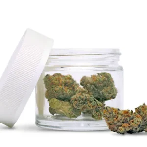 GMO Small Buds