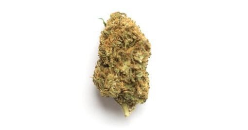 Guru #10 (Ounce) – Premium Hybrid Flower