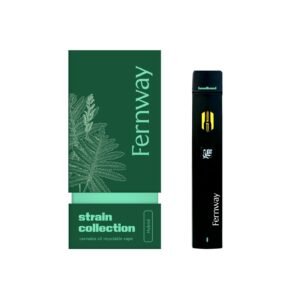 Headband 1g Disposable – Balanced Hybrid Vape