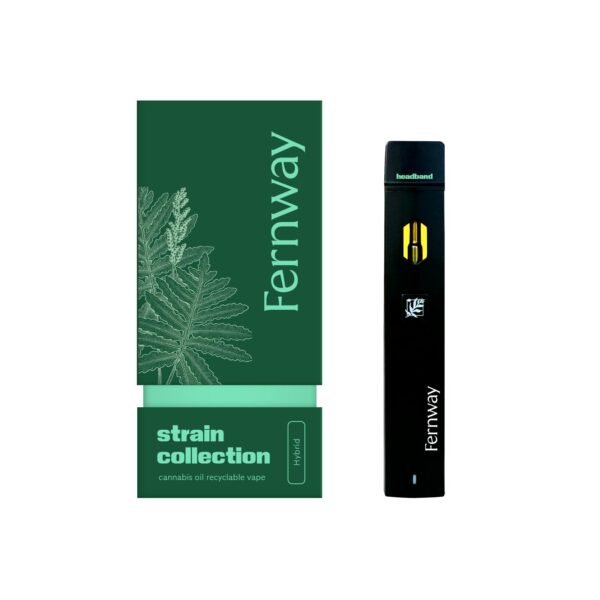 Headband 1g Disposable – Balanced Hybrid Vape