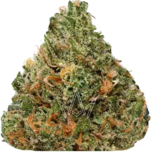 Permanent Runtz Strain | Sweet Hybrid with Euphoric Effects