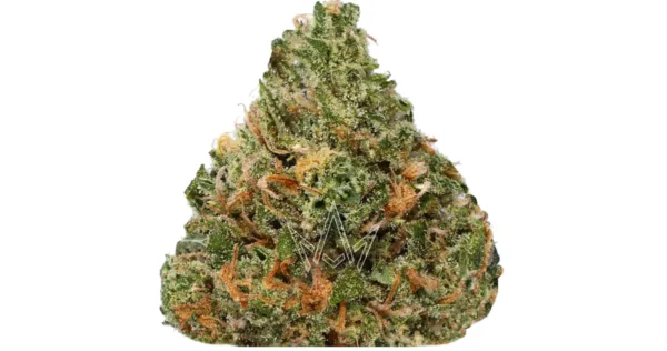 Permanent Runtz Strain | Sweet Hybrid with Euphoric Effects