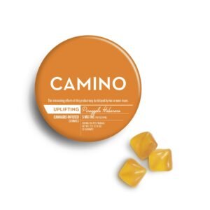 Pineapple Habanero 20pk 5mg Gummies – Sweet Heat Microdose Edibles