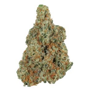 Pineapple Punch Flower | Tropical Sativa Uplift | Premium Indoor