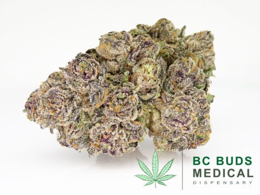 Platinum Runtz 10 Pack Pre-Rolls | Neighborhood Gardens