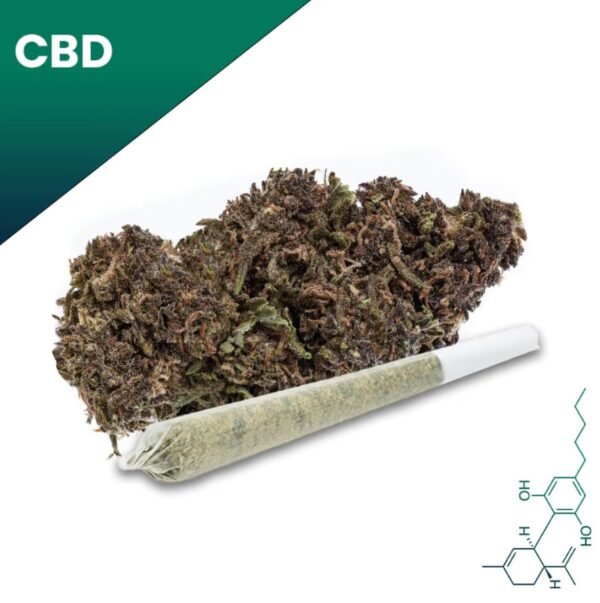 RUBY FARMS Purple Hindu Kush Pre-Rolls 2pk | 1g Indica Joints