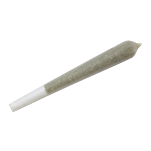 Runtz 10 Pack Pre-Rolls – Neighborhood Gardens