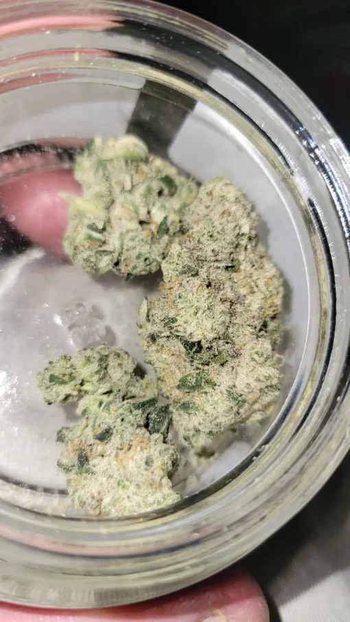 Rythm Afternoon Delight #4 Popcorn Flower – 3.5g/7g | Balanced Hybrid