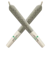 SNOBBY DANKINS Chem Noir 5pk Pre-Rolls – Potent Chem Diesel Hybrid