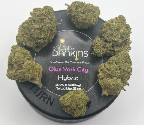 SNOBBY DANKINS Glue York City 3.5g Flower – Hybrid Bud