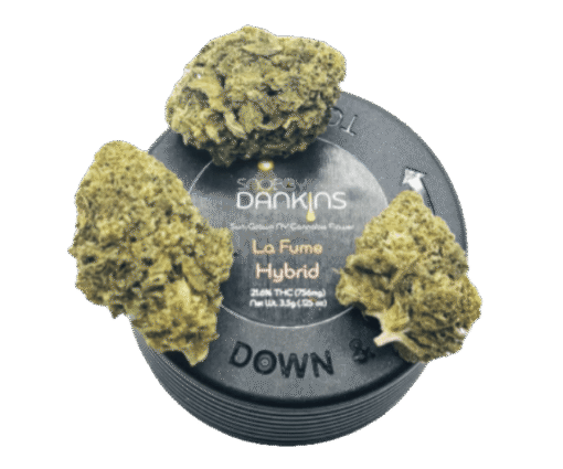SNOBBY DANKINS La Fume 3.5g Flower – Premium Indica Bud