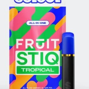 Select Fruit Stiq Blackberry Blast | 1g THC Disposable Vape