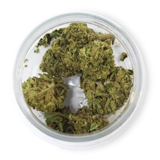 Sherbanger 3.5g Flower – Potent Hybrid Cannabis