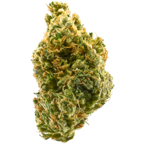 Tangie – Sativa Cannabis Strain | Uplifting Citrus Flower