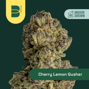 🍒🍋 The Botanist Cherry Lemon Gusher 3.5g Flower