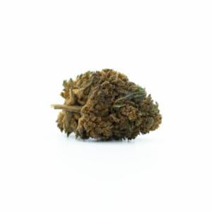 Tropical Kush 10 Pack Pre-Rolls – Neighborhood Gardens