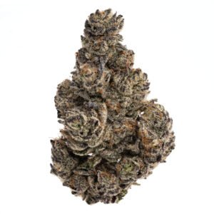 White Truffle Cannabis Strain | Relaxing Indica Hybrid